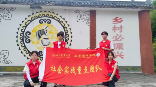 走进大杉坪，看见新气象：91pron
“众望”小组赴大杉坪村开展调研活动